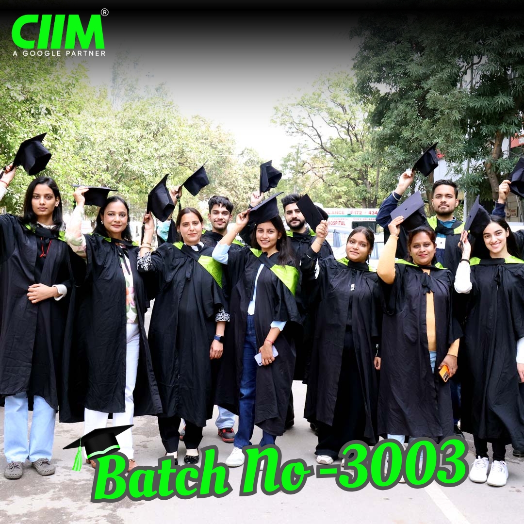 CIIM Digital Marketing Completed Batch 3003