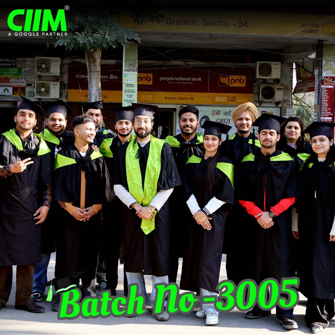CIIM Digital Marketing Completed Batch 3005