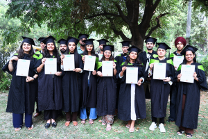 job-placements-chandigarh